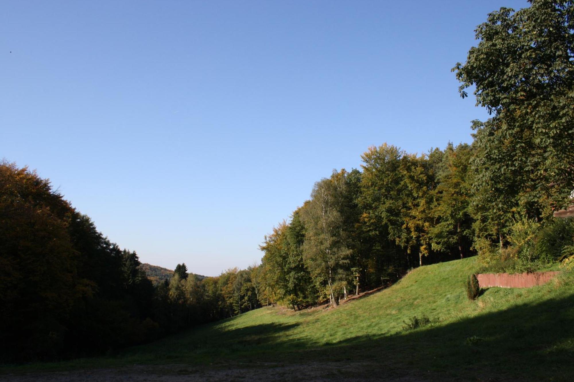 Wald-Hotel Heppe Dammbach Екстериор снимка