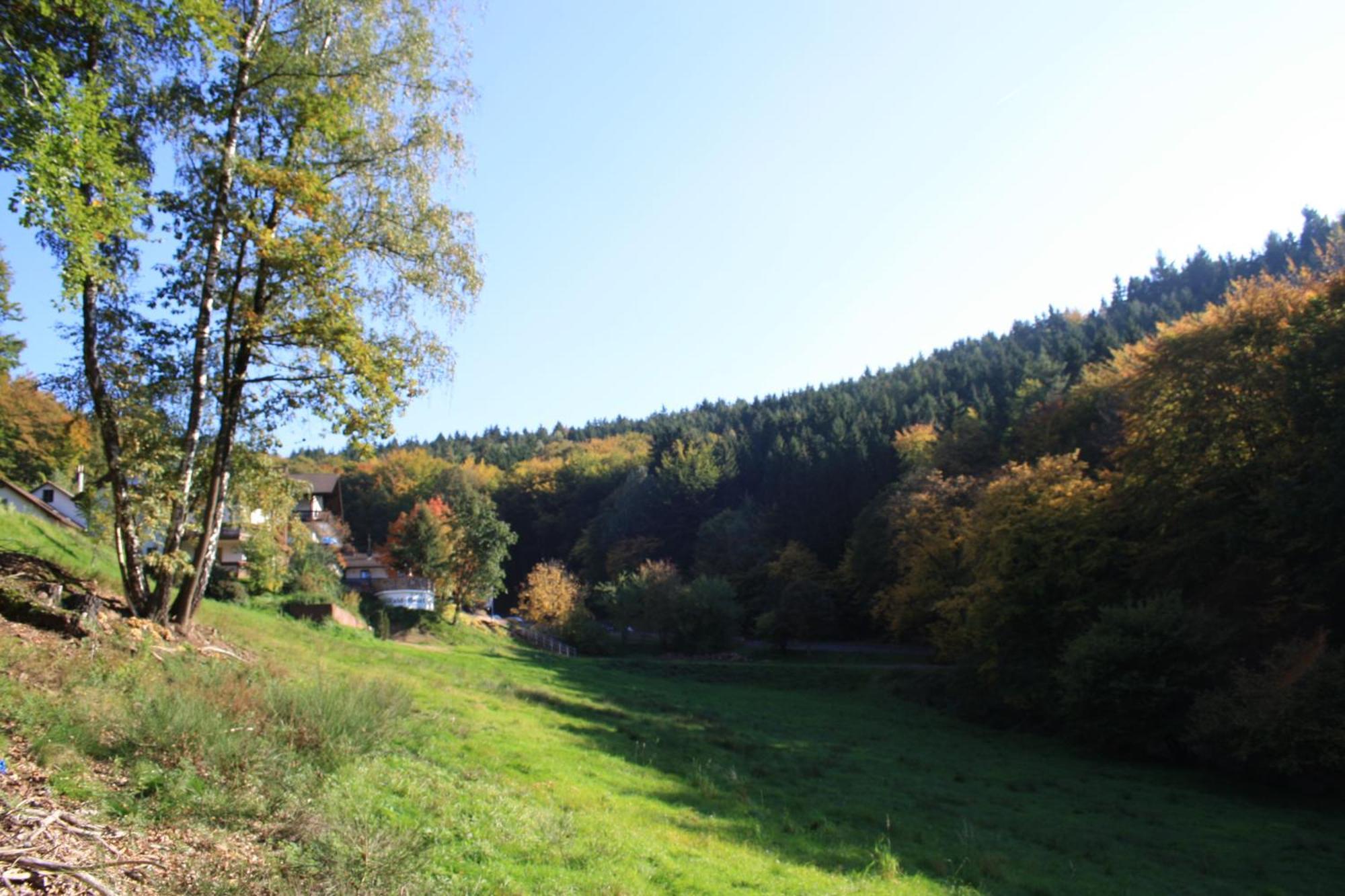 Wald-Hotel Heppe Dammbach Екстериор снимка