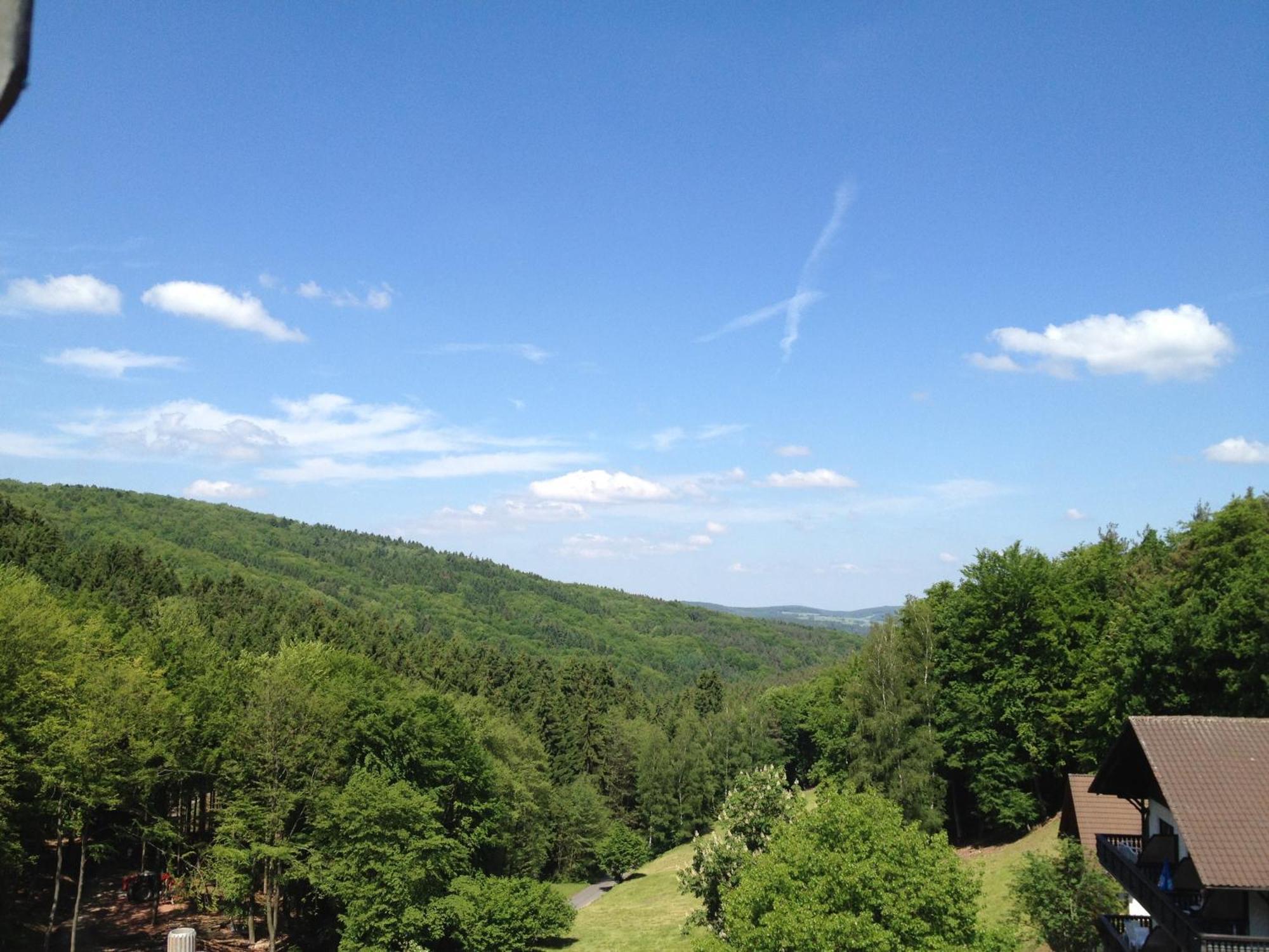 Wald-Hotel Heppe Dammbach Екстериор снимка