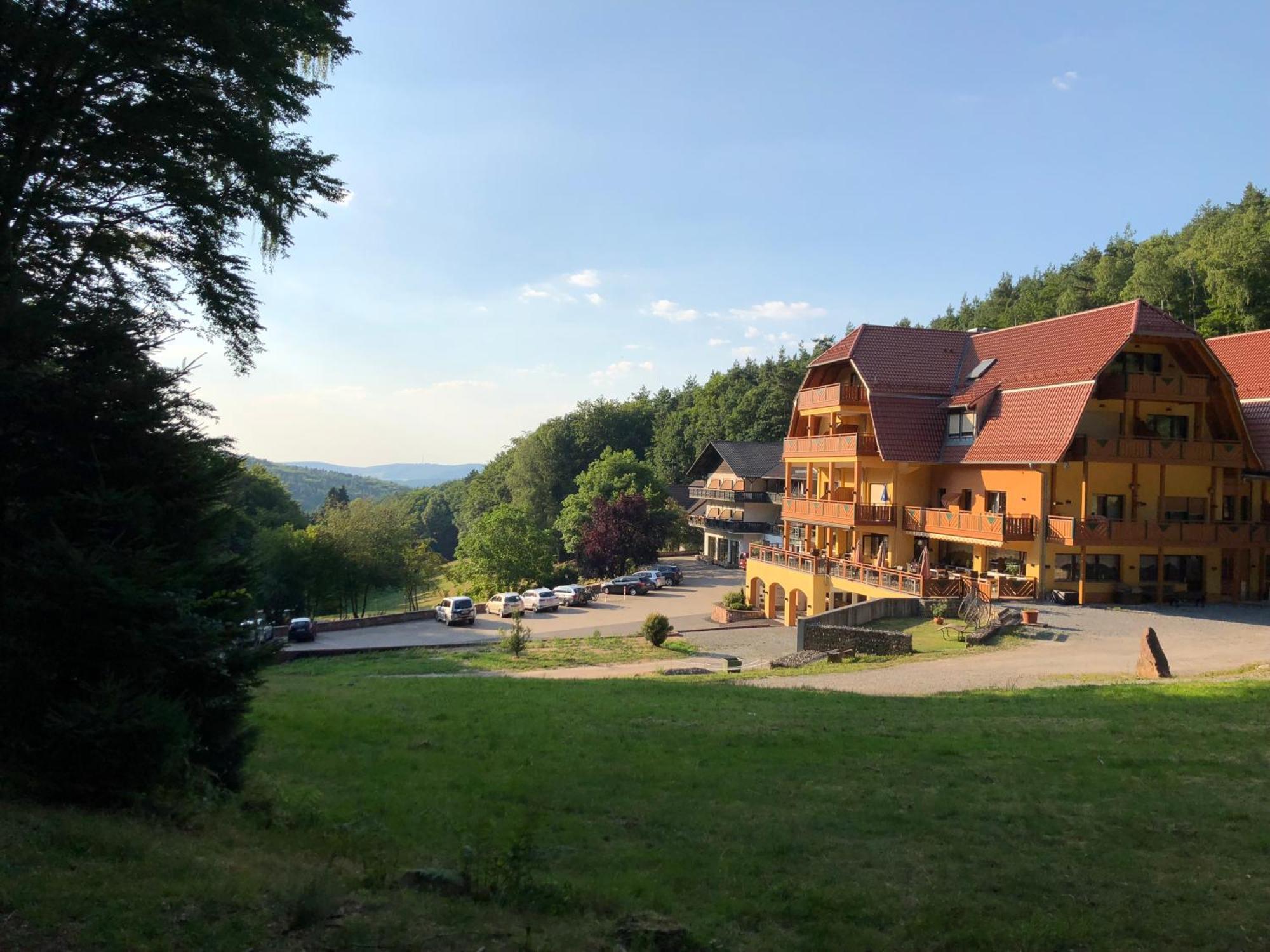 Wald-Hotel Heppe Dammbach Екстериор снимка