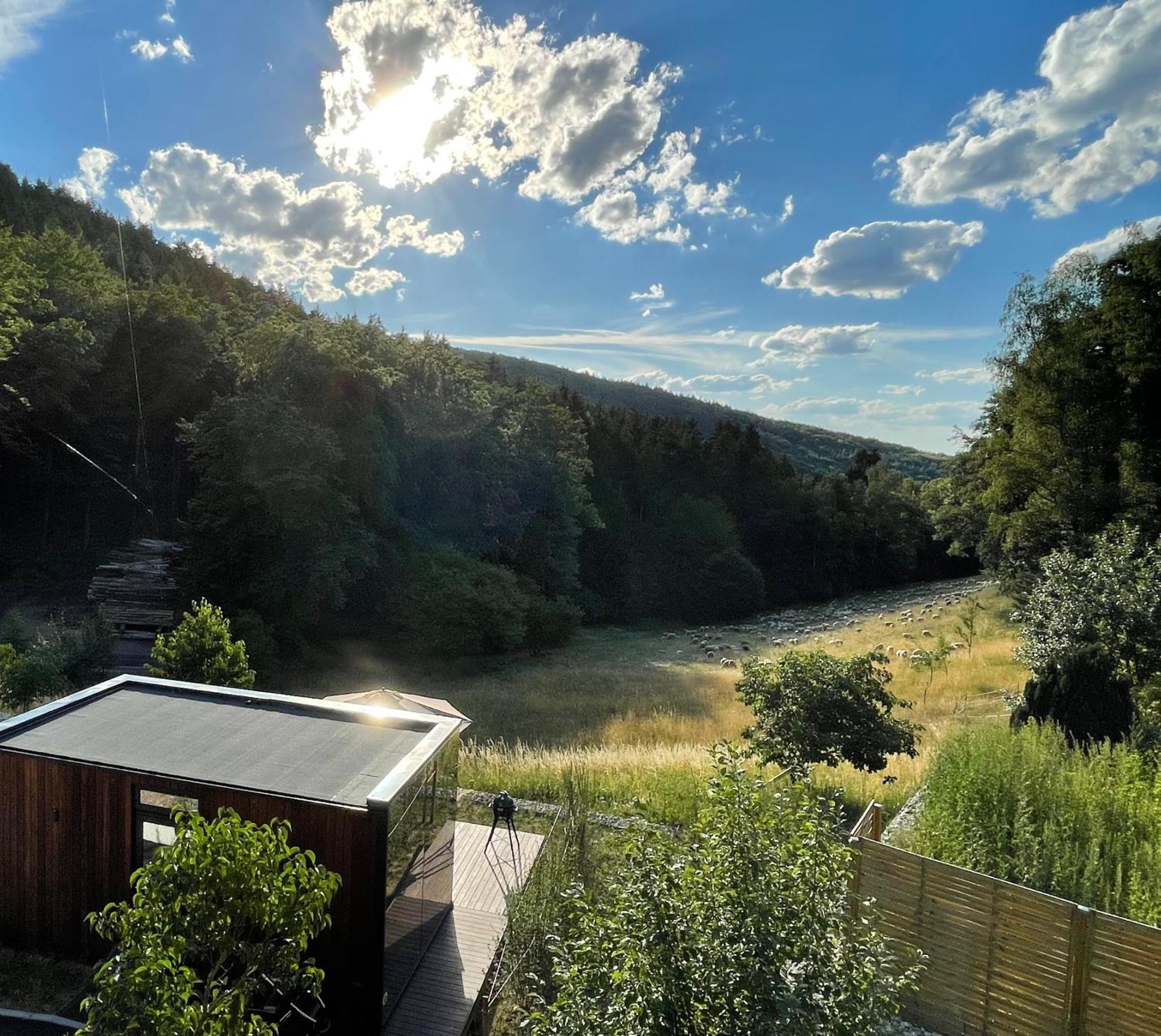 Wald-Hotel Heppe Dammbach Екстериор снимка